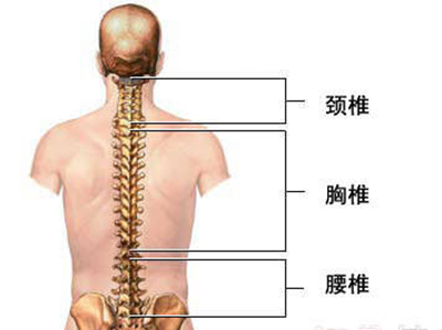 腰椎间盘的退行性改变是基本因素