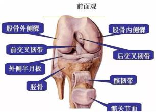 髌股关节综合症