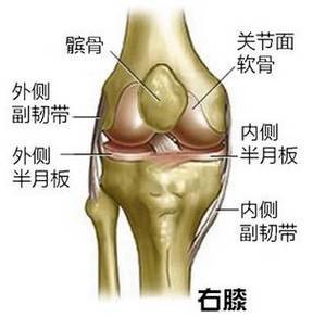 爬楼梯对膝关节有用吗,西华骨科医院